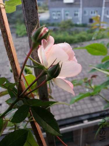 20141026_173444.jpg