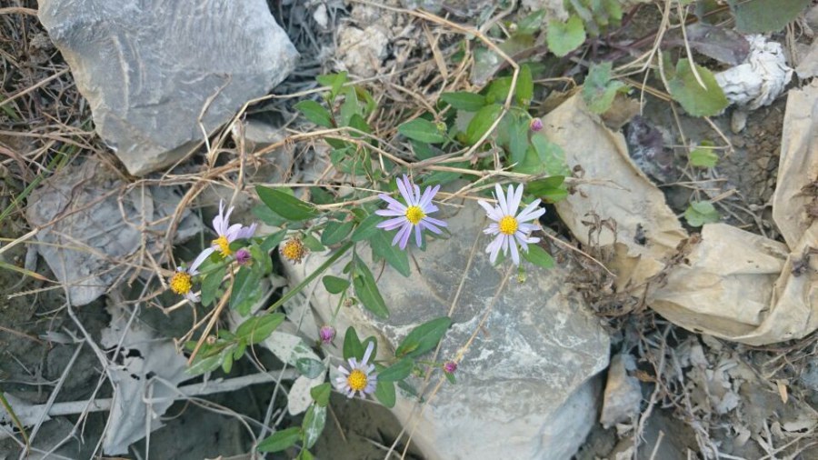 QQͼƬ20141027011658.jpg