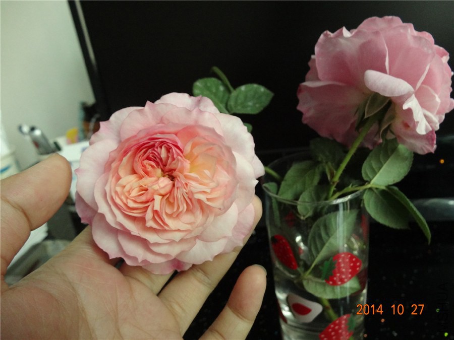 DSC02099_����.jpg