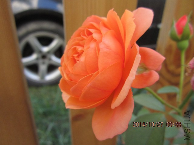 IMG_5443.JPG