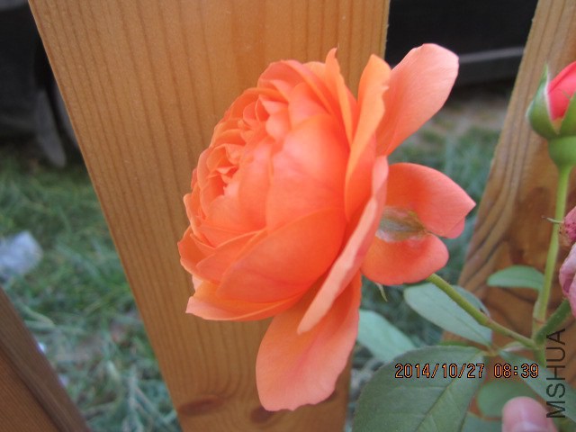 IMG_5444.JPG