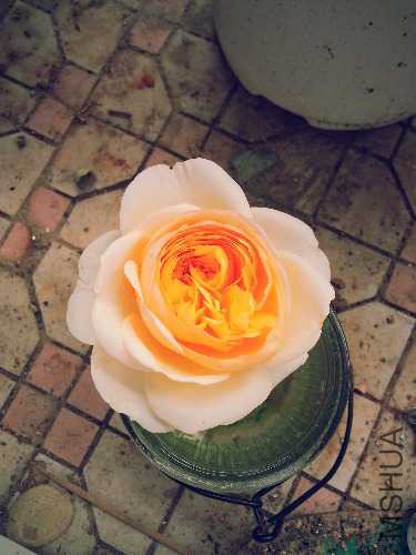 20141027_133500.jpg