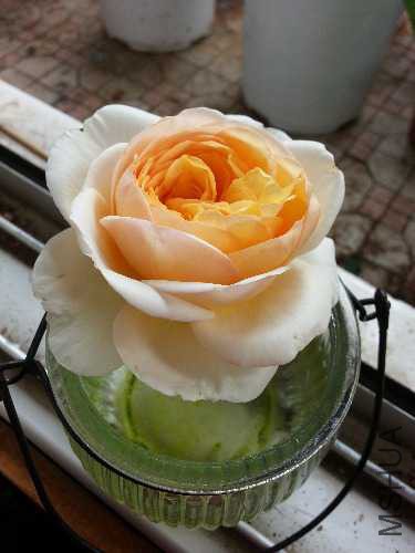 20141027_133319.jpg