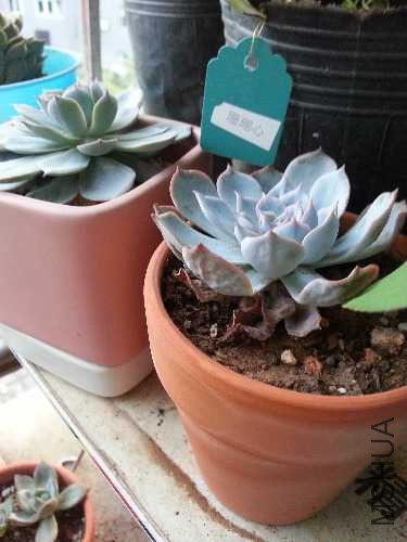 20141026_173637.jpg