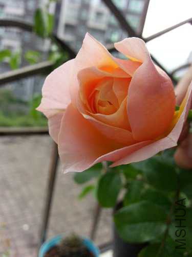 20141027_134427.jpg