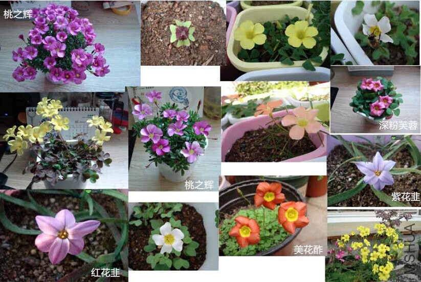 QQͼƬ20140825235630.jpg