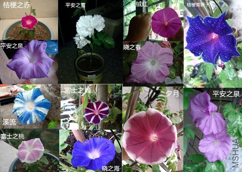 QQͼƬ20140825235532.jpg