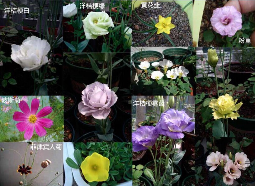 QQͼƬ20140825235613.jpg