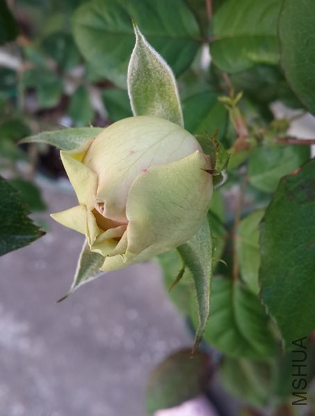 20141024_071256.jpg