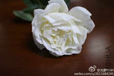 9bab2395gw1elpzjmkxc4j21kw11xgsg.jpg