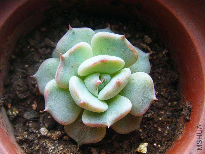 DSCF0039_����.jpg
