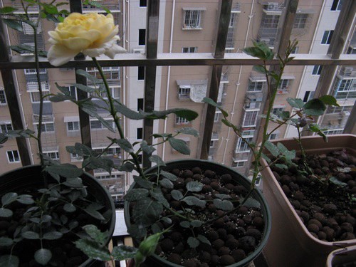 2013-04-17-08.jpg