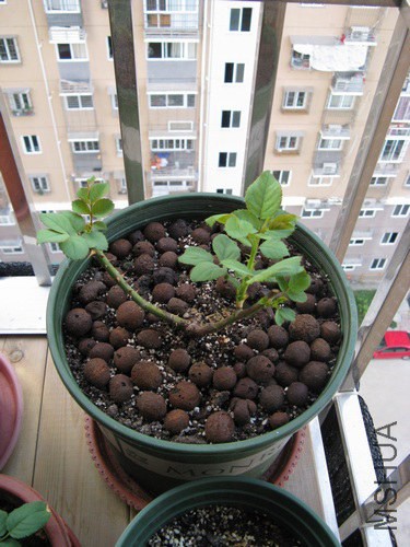 2013-10-01-002.jpg