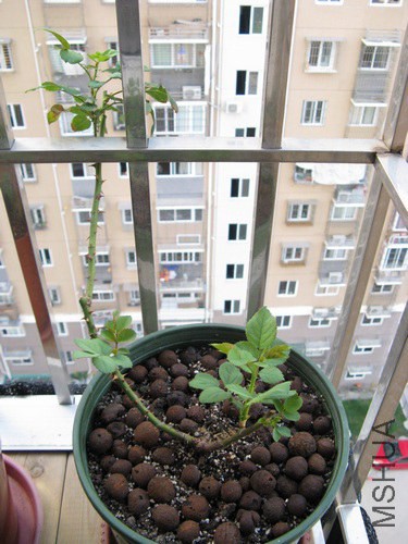 2013-10-01-001.jpg