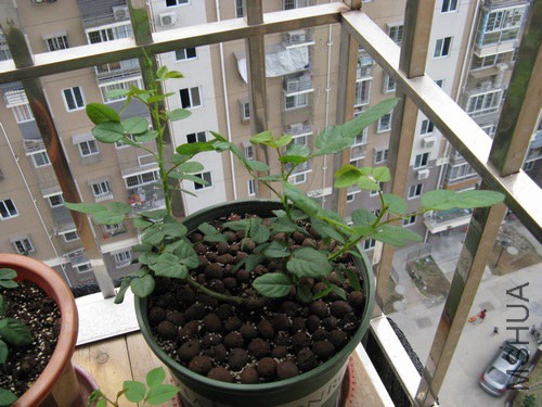 2013-11-08-001.jpg