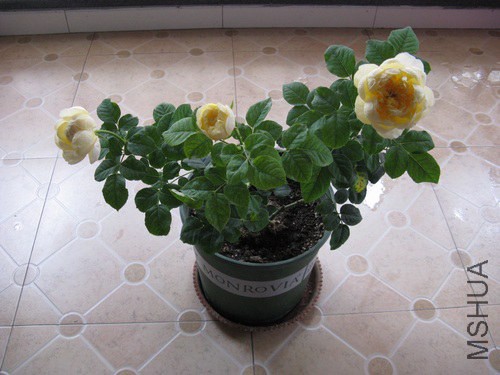 2014-06-21-02.jpg
