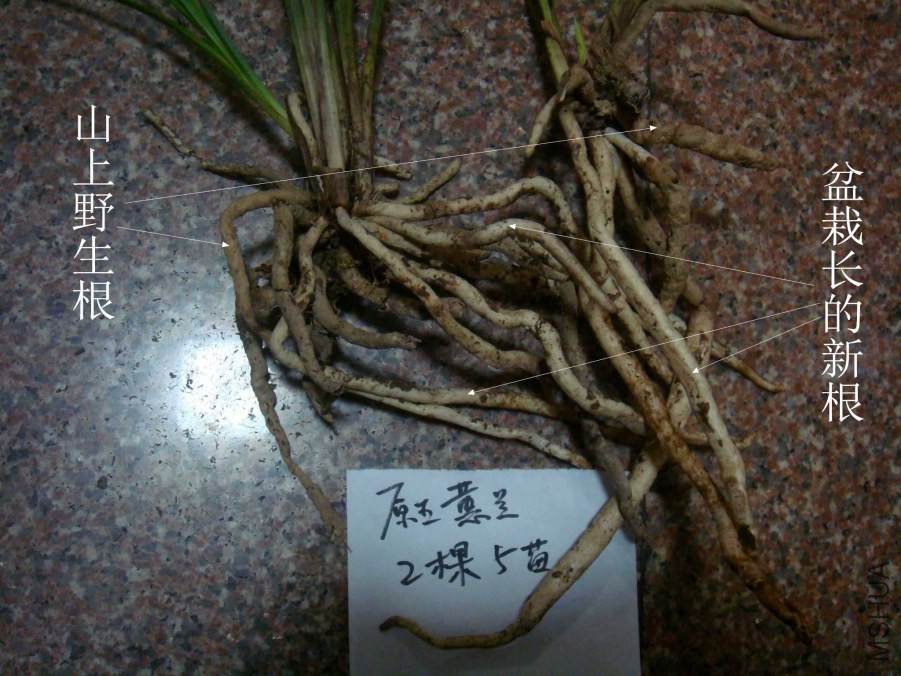 03.JPG