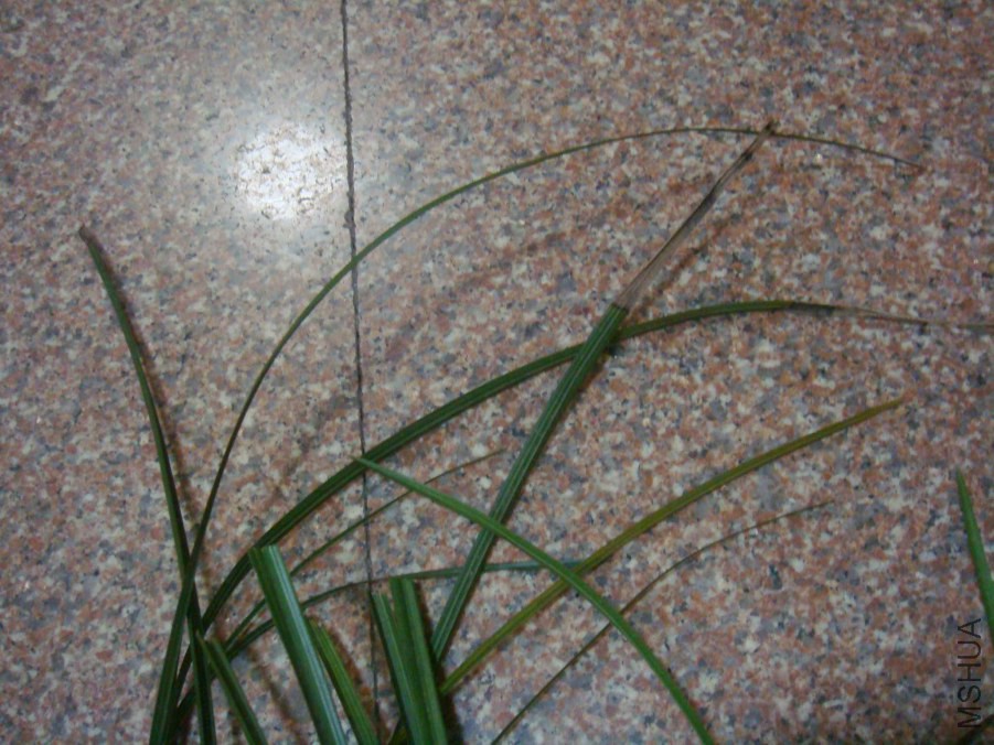 04.JPG
