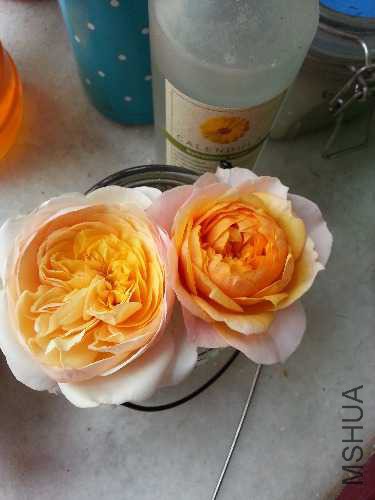 20141028_124754.jpg