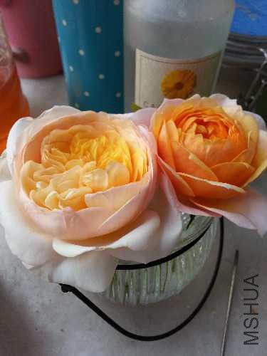 20141028_124744.jpg