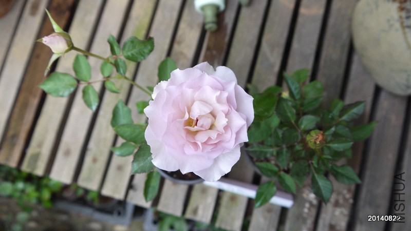 1-P1060849.JPG