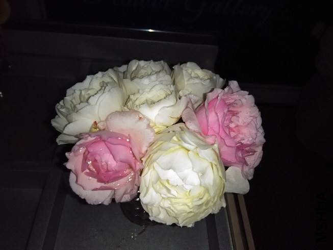 IMG_20141028_130613.jpg