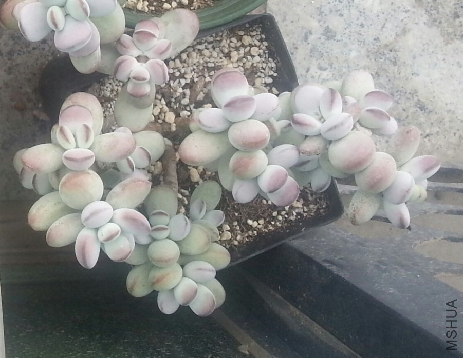 20140525_085857_Android 1_����.jpg
