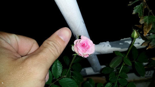 20141028_194128.jpg