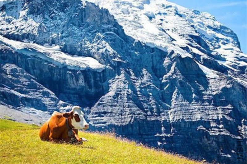 0 (2)_����.jpg