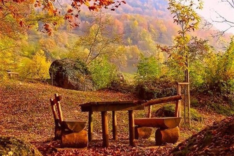 0 (6)_����.jpg