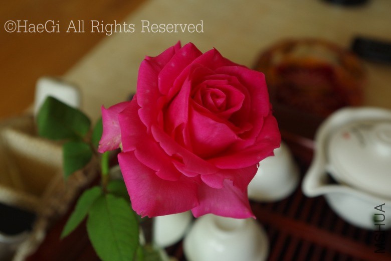 IMGP0900_conew1.jpg