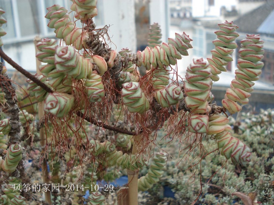 DSC01991.jpg