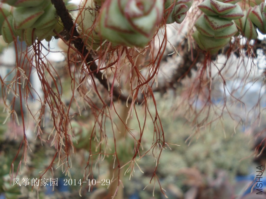 DSC01992.jpg