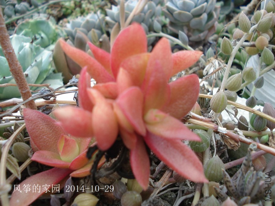 DSC01999.jpg
