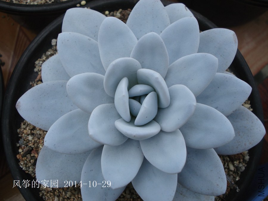 DSC02014.jpg
