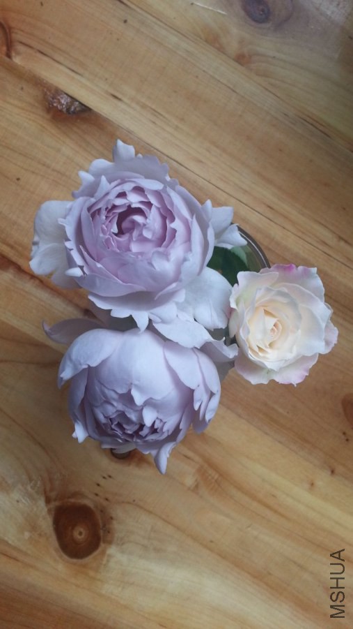 20140616_121927_1.jpg