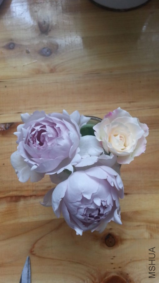 20140616_121910_1.jpg