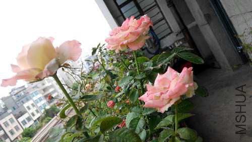 IMG_20140922_163426.jpg