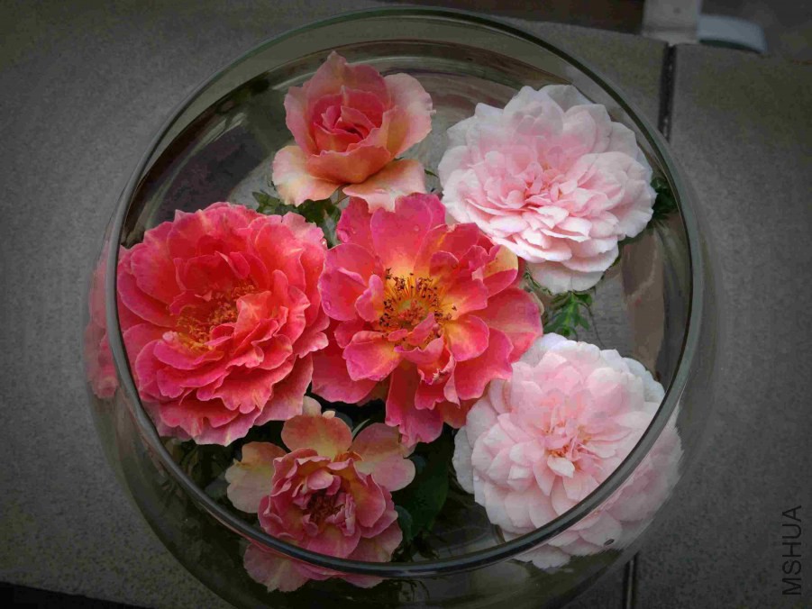 ��Ƭ 035.jpg