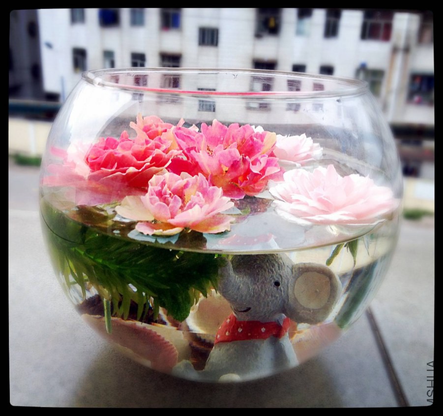 ��Ƭ 038.jpg