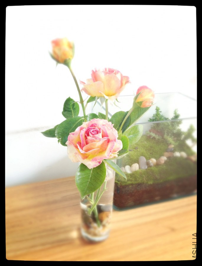 ��Ƭ 089.jpg