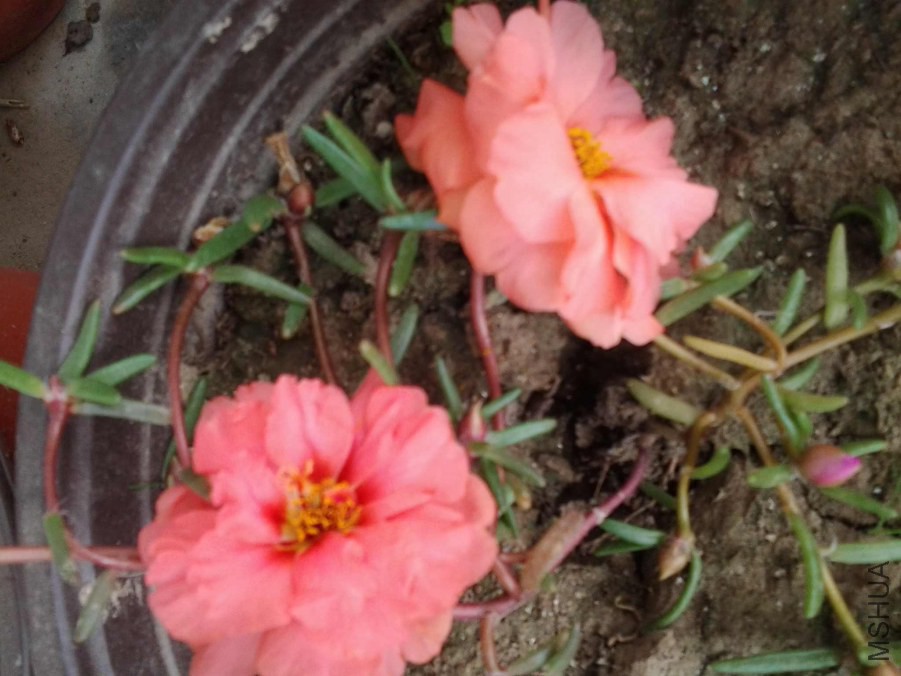 20141020_131645.jpg