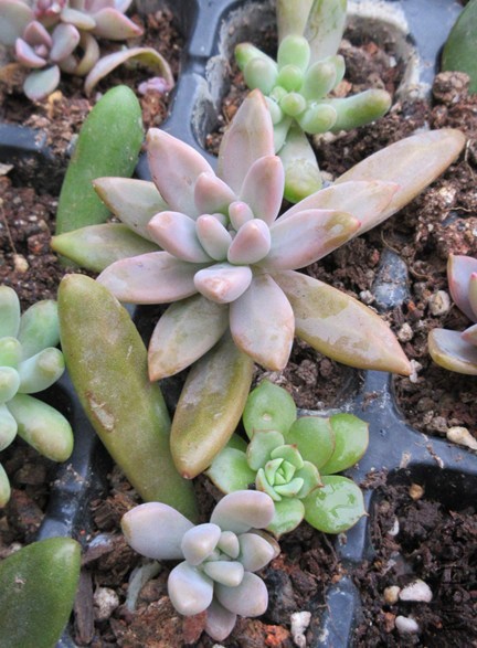 QQͼƬ20141030102543.jpg