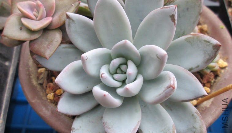 QQͼƬ20141030102636.jpg