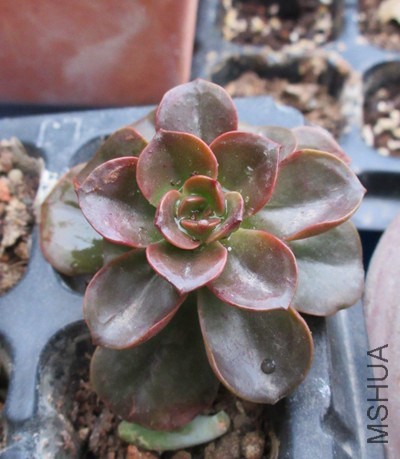 QQͼƬ20141030102508.jpg