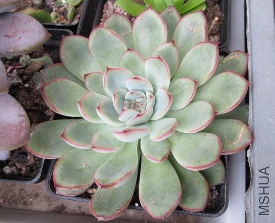 QQͼƬ20141030103901.jpg