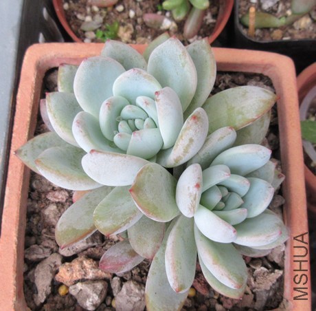 QQͼƬ20141030103930.jpg