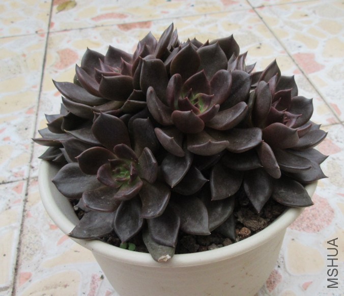 QQͼƬ20141030123539.jpg