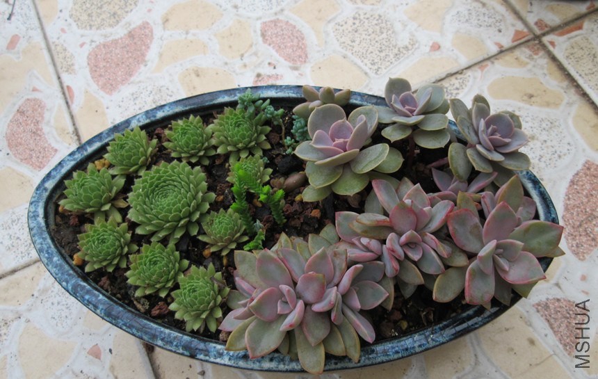 QQͼƬ20141030123517.jpg