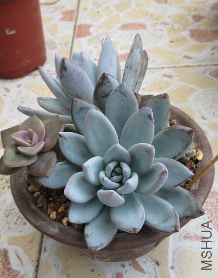 QQͼƬ20141030123639.jpg